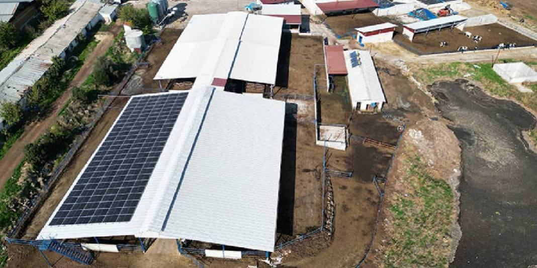 3 ayrı hibe aldı küçük işletmeyi modern tesise dönüştürdü: Şimdi 160 inekten günde 4 ton üretime ulaştı! 5